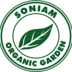 Logo SOG Vert Foncé